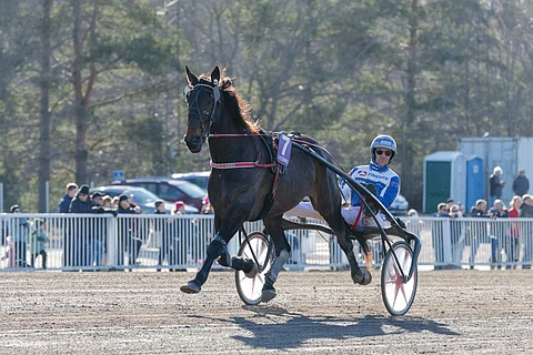 Graindield Aiden palaa todennäköisesti marraskuussa radoille.