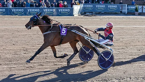 Global Withdrawl voitti vuosi takaparin Helsinki-ajon keulasta.