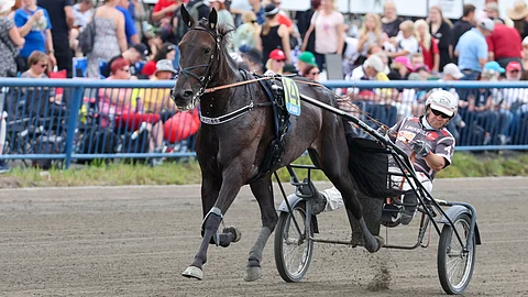 Up Front Larryn tytär Kitzune G.G. on napannut ainakin yhden voiton jo viitenä kautena peräkkäin. Tuleeko nyt tämän kauden avausvoitto?
