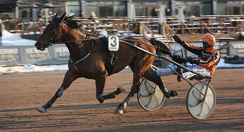 Vahvassa ohjastusvireessä oleva Tommi Kylliäinen ajoi Vermossa kaksi tolppaa. Ensimmäinen niistä tuli Truthisouttheren rattailla.