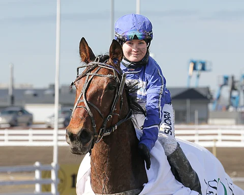 Anne Kankaan valmentama ravihevonen Quite A Lover