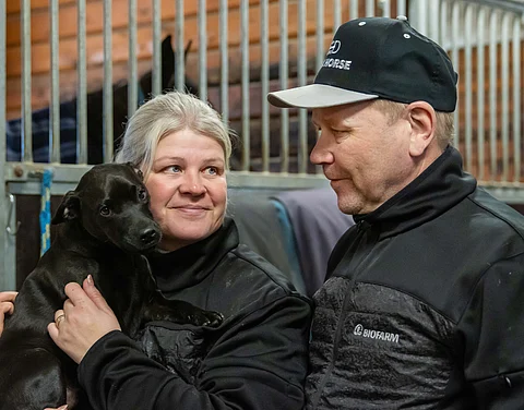 Jyrki ja Rinna Tammimetsän lisäksi myös Luka-koira viihtyy tallilla.