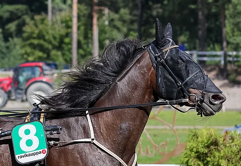 Odin Orden on kiinnostava varma Pilvenmäen torstaiselle Toto5-kierrokselle.