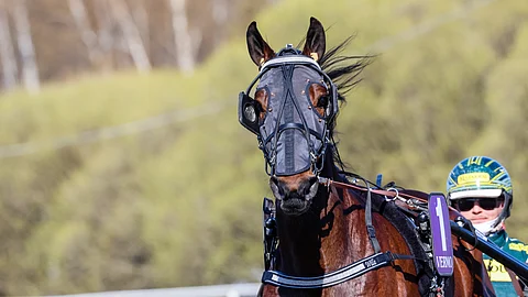 Williamsburg on aloittanut kautensa kahdella nelossijalla.