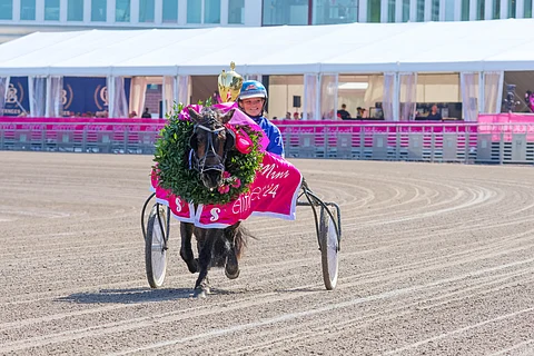 Euforia seppelöitiin toistamiseen Mini Elitloppetin voittajaksi.