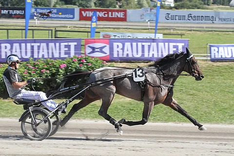 Womanizer S sellaisena kuin ravikansa sen muistaa, terävänä ja menevänä. Valmentaja Jarno Kauhanen lämmittää ruunaa vuonna 2015.