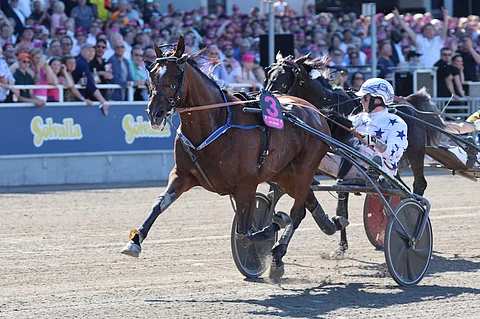 Go On Boy voittaa ensimmäisen karsinnan.