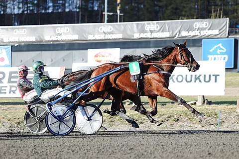 Endurance Boy on voittanut urallaan neljästi.