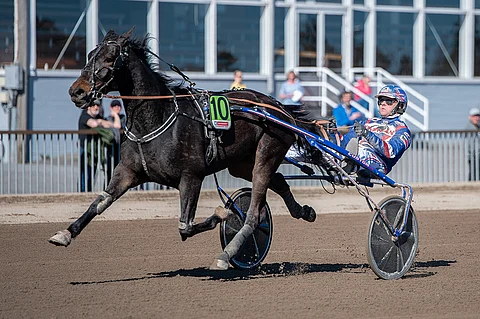 Olli Koivunen ohjasti Albarino Salan Pilvenmäki Specialin karsintavoittajaksi. Toissa talvena hevonen oli menehtyä ähkyleikkauksen komplikaatioihin.