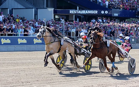 Elitkampen Solvalla