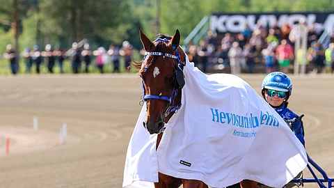 Condor Bar ja Henna Halme ravihevonen