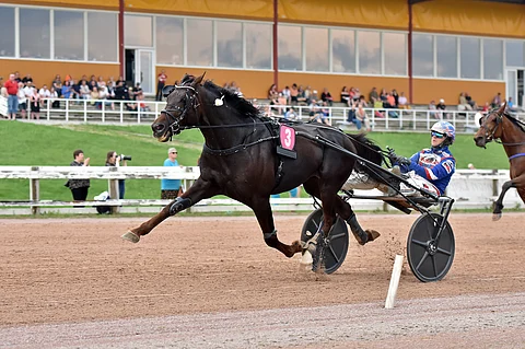 Joshua B.R. teki Kajaanissa komean soolon Olli Koivusen ohajstamana. Oulussa kärryille hyppää Niko Jokela.
