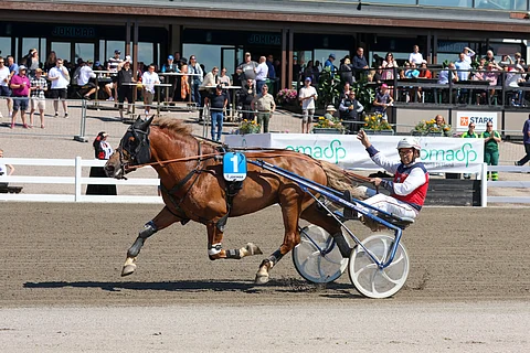 Viulan Voitto ja Petri Mäkinen hakevat lauantaina kauden kolmatta voittoa.