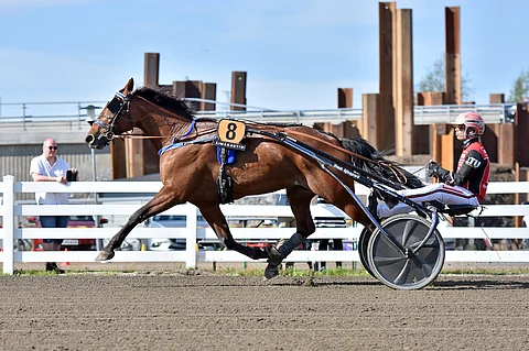 MAS Champ voitti kesäkuussa Oulussa ajetun Number Onen.
