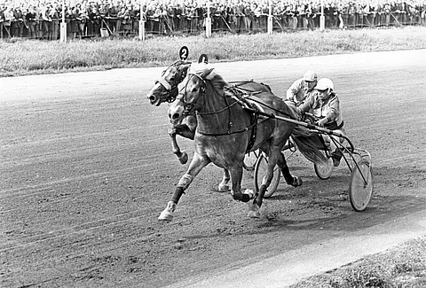 Olle piti Vieterin takanaan myös vuoden 1977 Suurmestaruudessa.