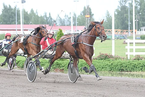 Toisen kerran Night Sky Eaglea ohjastanut Elina Leinonen sai myös tuulettaa toistamiseen tamman voiton merkiksi.