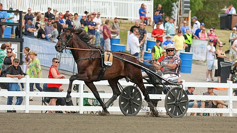 Ravihevonen Lil Runner