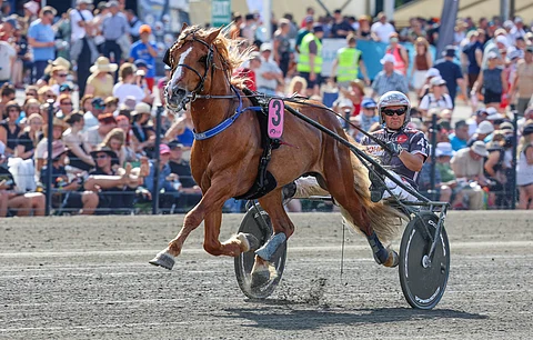 H.V. Tuuri sijoittui viime kesänä kuninkuuskilpailussa Antti Teivaisen ohjastamana viidenneksi.