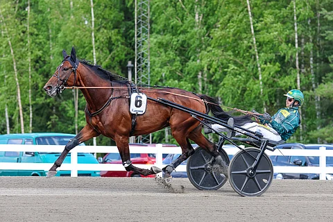 Massimo Hoist ja Hannu Torvinen