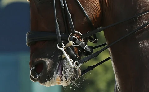 Onko kieli sinisempi vai näyttääkö se vain siltä?