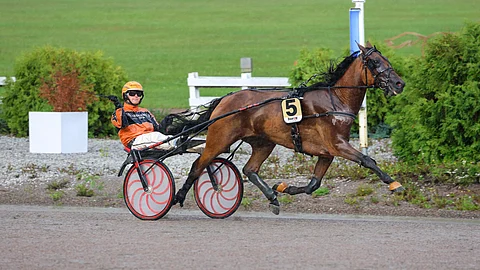 Kerry’s Power nousijadivisioonakarsinnan murskavoittajana 10. elokuuta kotiradallaan Teivossa.