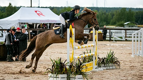 Linnea Haukilehto ja Kai-Keikari Myrkyssä.