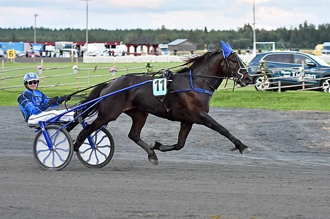 Stumne Fyr ohjastajanaan Ole Johan Östre.