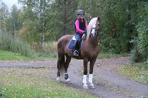 Anniina Mallat ja Ponuveikko vuonna 2017.