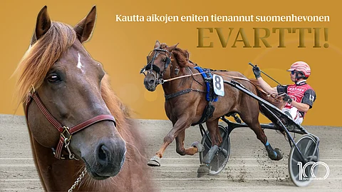 Kaikkien aikojen eniten tienannut suomenhevonen on Evartti.