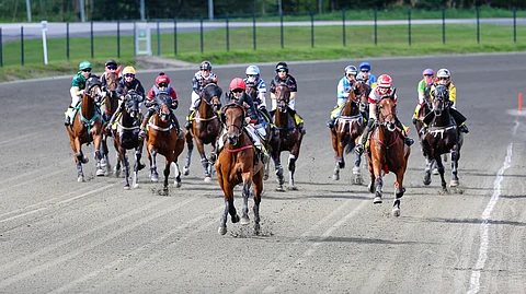 Monté-ohjastajien SM-kilpailut järjestetään ensimmäistä kertaa elokuussa Vermossa.
