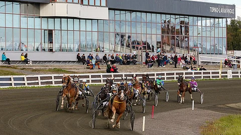 Tornion Laivakankaan ravit.