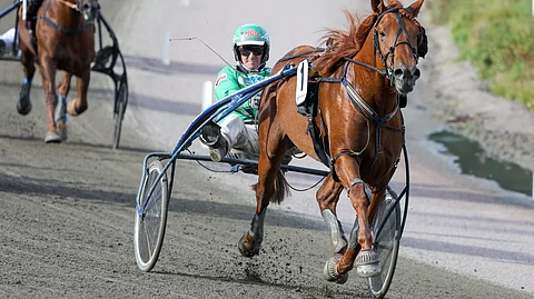 V.G. Voitto ei saanut muista mitään vastusta.