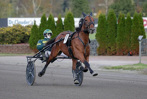 Callela Nelson on heti kauden avausstartissaan suursuosikki.