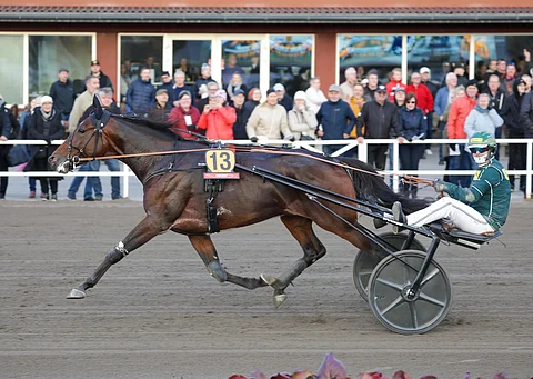 St. Leger -voittaja Massimo Hoist joutui Kultaloimessa haastavalle lähtöpaikalle.
