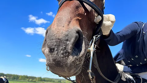 Suunta on jo kohti löysempiä turpahihnoja.
