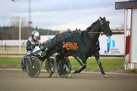 Combat Fighter on yksi suomalaistoivoista Finlandia-Ajossa sunnuntaina