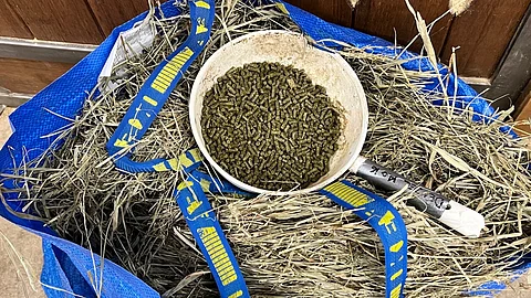 Ikea-kassi ja kalavaaka käyttöön, suosittelee kaviokuumeesta väitellyt eläinlääkäri.