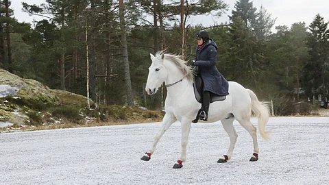 Ykkösvaihdot kaulanarulla.