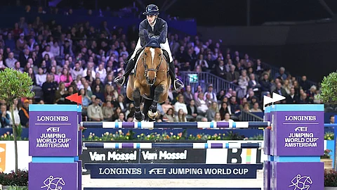 Jasmin Seppälä-Geerinkin Kerel van het Sterrebos on tänä talvena valmiimpi ja kokeneempi MC-radoille.