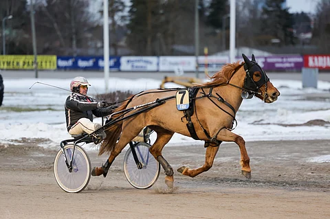Hajapusa ja Antti Teivainen