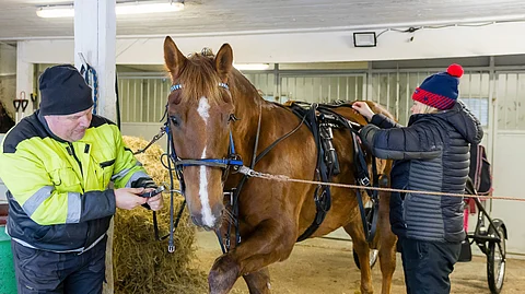 Tuuskanen, Heikki Tanner ja Sari Niemelä
