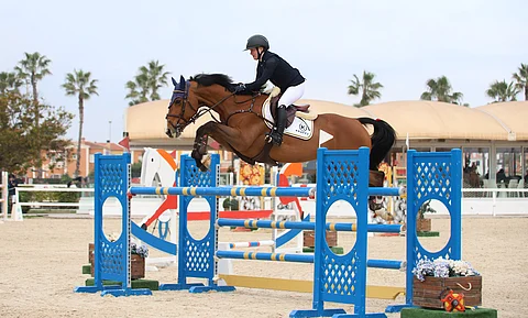 Anni Hjerpe on takonut tuloksia Olivassa. Kuvan Chacco's Dominator hyppäsi perjantaina 135- tasolla nollan ja sijalle 7.  Sunnuntaina Callboy venyi 150 GP:n kahdeksanneksi.