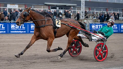 Stens Rubin rattaillaan Johan Untersteiner