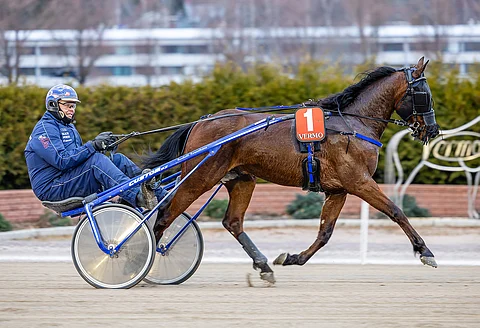 Tapani Sirviöllä ja Timo Korvenheimolla (kuvassa) voi olla vielä monta kertaa aihetta hymyyn Piccolo Cocktailin kanssa.