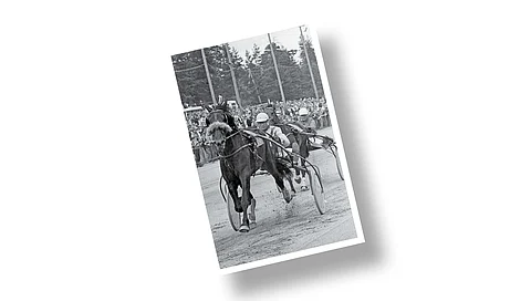 Tiedätkö hevosen ja ohjastajan? – palkintona Maailman parhaat Kuninkuusravit -kirja