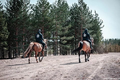 Niinisalon kangasmaastot ovat toimineet vuosikymmeniä kenttäkilpailujen järjestämispaikkana.