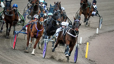 Ravit kokelaslähtö