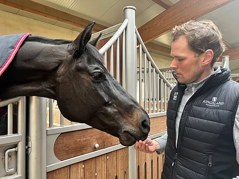 Henri Ruoste ja Tiffanys Diamond.