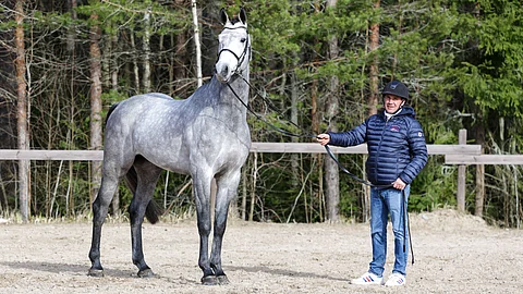 Oripäivien voittajaori on Casador. Esittämässä Niclas Aromaa