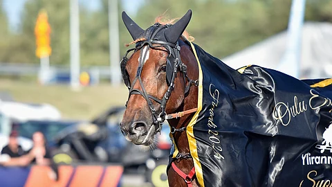 Oulu Express 2024 -voittaja Caru